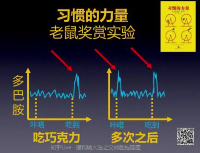 习惯的力量:老鼠奖赏实验中的多巴胺变化