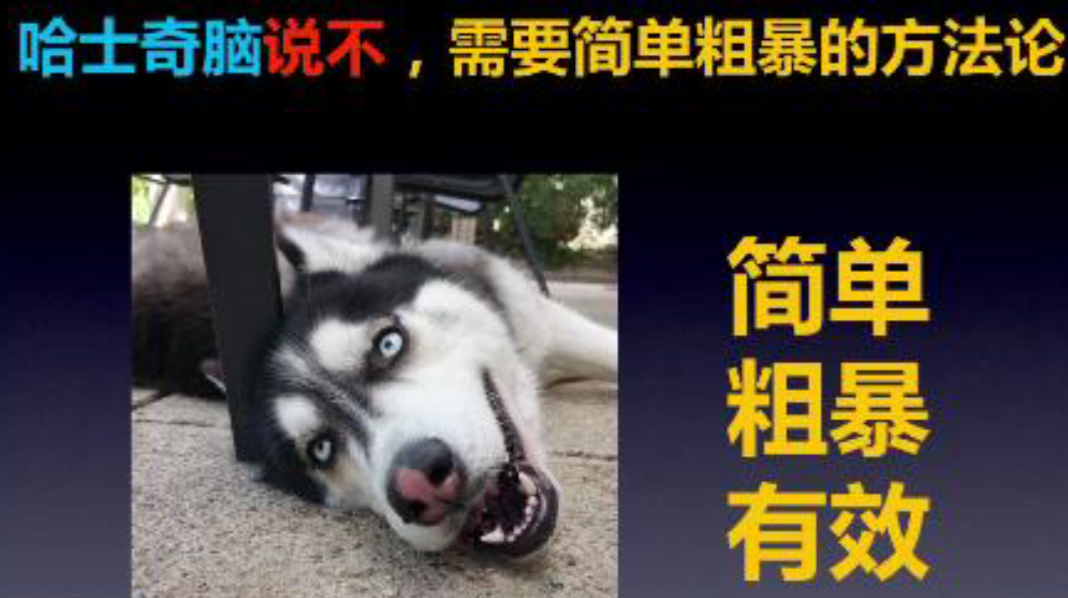 哈士奇脑听完复杂方法后的无语表情示意图